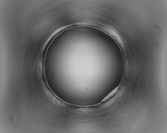 X0000112731000200909031440