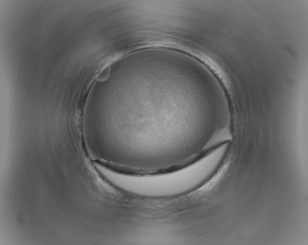 X0000112731001200909031440