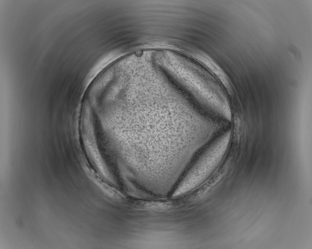 X0000112731002200909031440