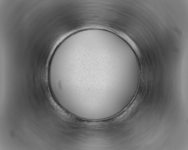 X0000112731004200909031440