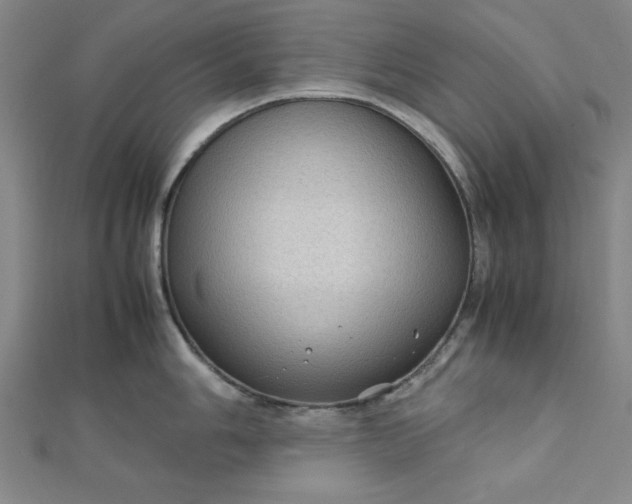 X0000112731006200909031440