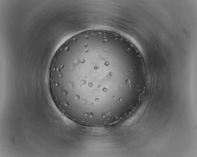 X0000112731007200909031440