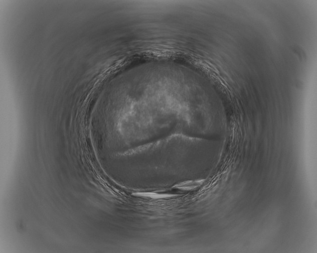 X0000112731009200909031439