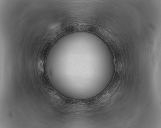 X0000112731010200909031439