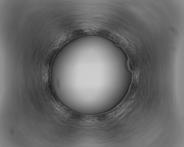 X0000112731012200909031439