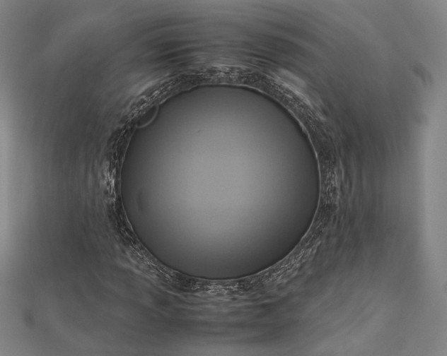 X0000112731013200909031439