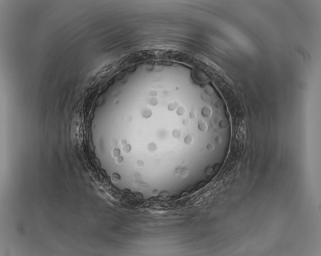 X0000112731014200909031439