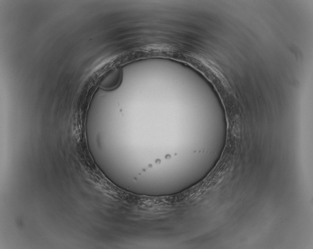 X0000112731015200909031439