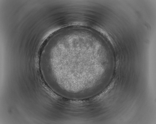 X0000112731019200909031439