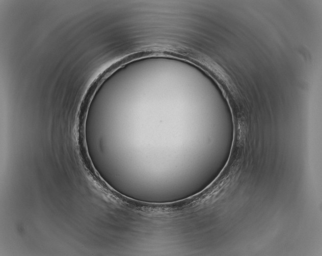 X0000112731020200909031439