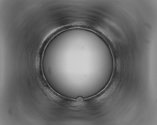 X0000112731021200909031439