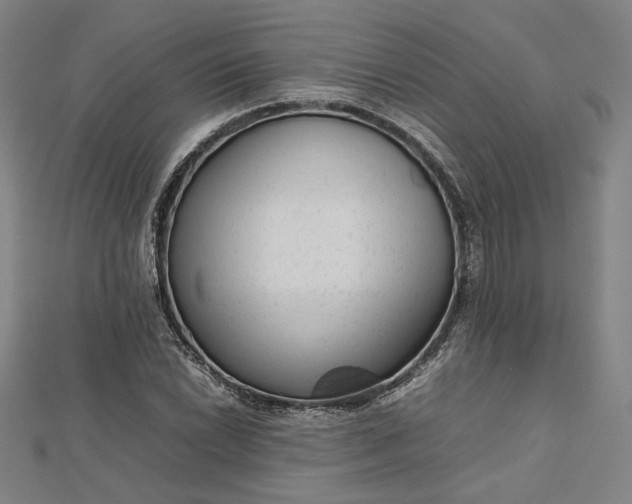 X0000112731022200909031439