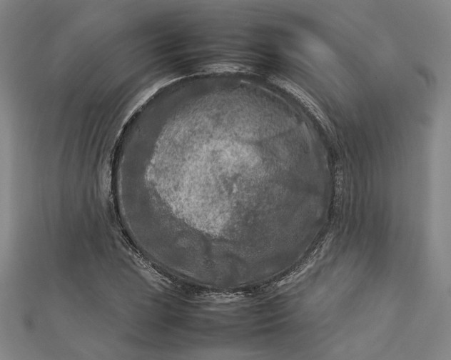 X0000112731023200909031439