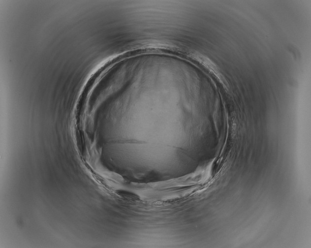 X0000112731024200909031439