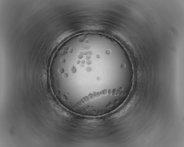 X0000112731025200909031439