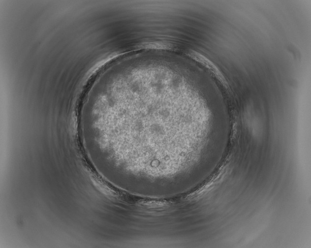 X0000112731027200909031440