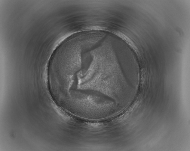 X0000112731031200909031440