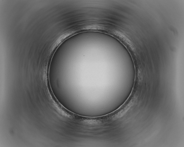 X0000112731033200909031440