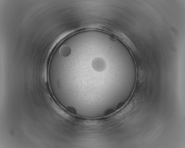 X0000112731036200909031440