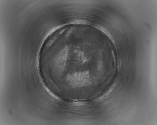 X0000112731037200909031440