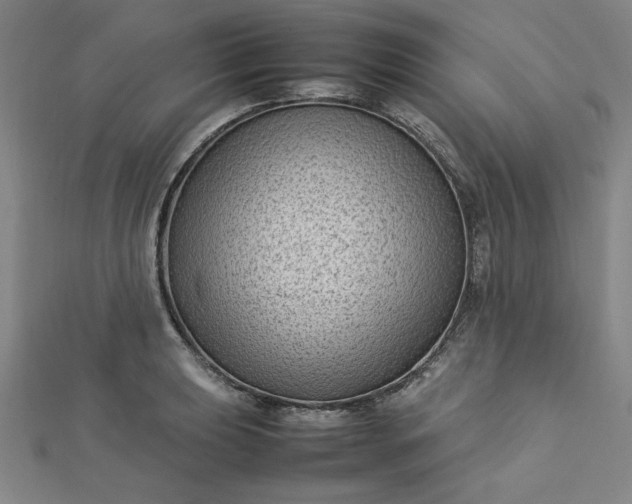 X0000112731039200909031440