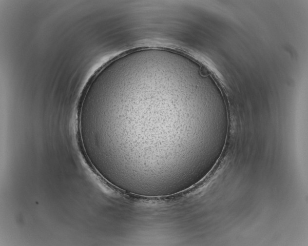 X0000112731040200909031440