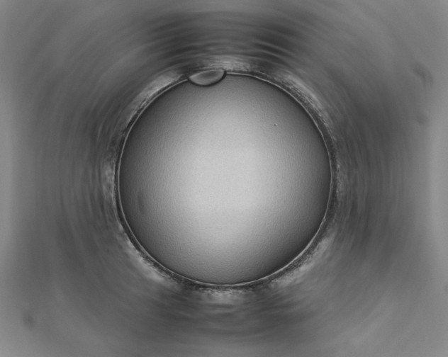 X0000112731041200909031440