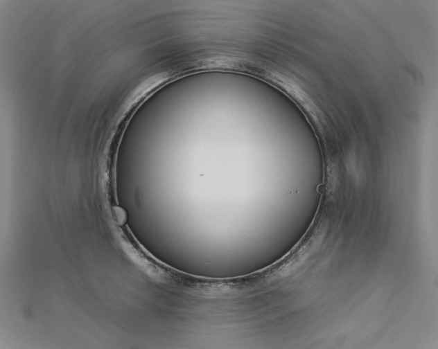 X0000112731042200909031440