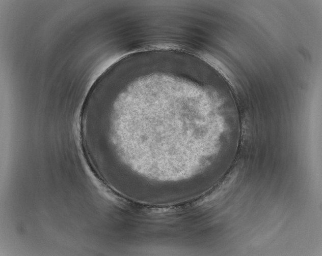 X0000112731047200909031440