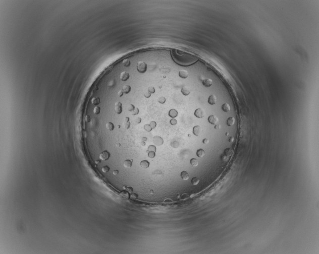 X0000112731048200909031440