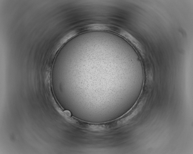 X0000112731049200909031440