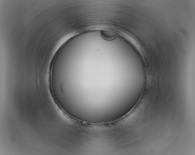 X0000112731050200909031440