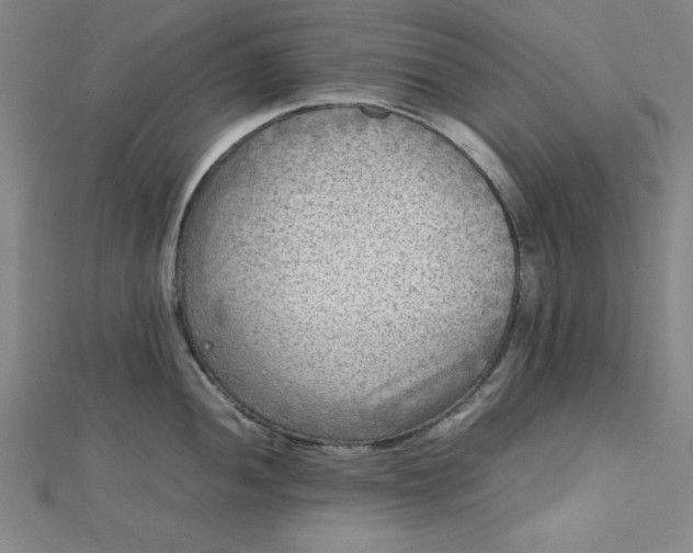 X0000112731052200909031440