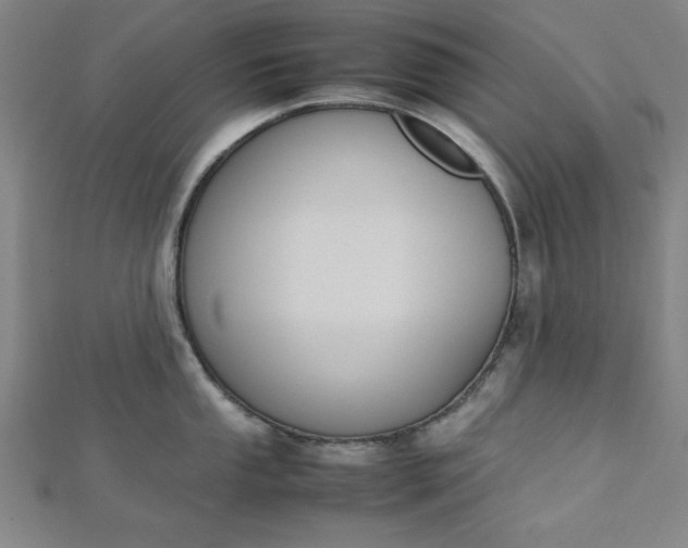 X0000112731053200909031440