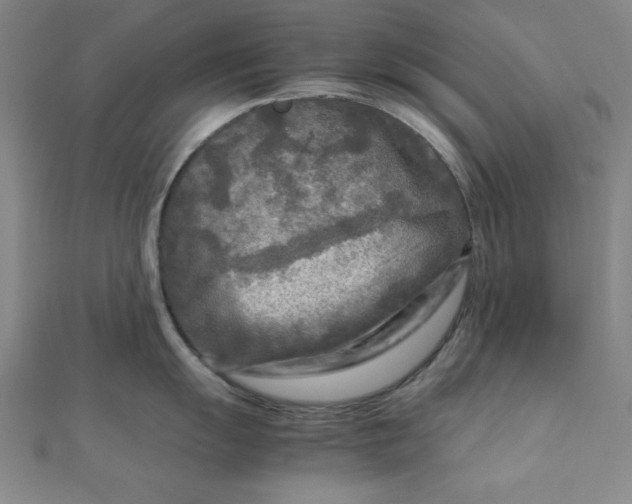 X0000112731055200909031440