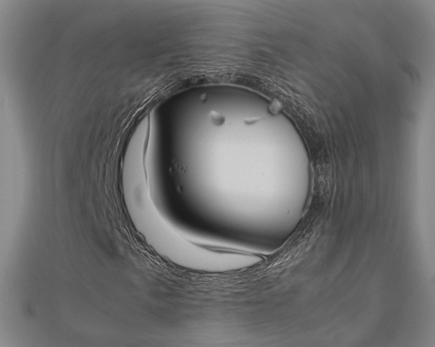 X0000112731057200909031439