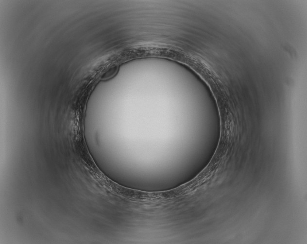 X0000112731062200909031439