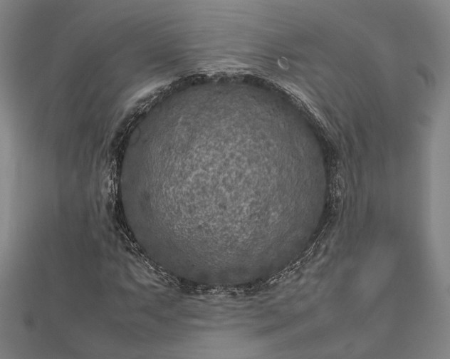 X0000112731063200909031439