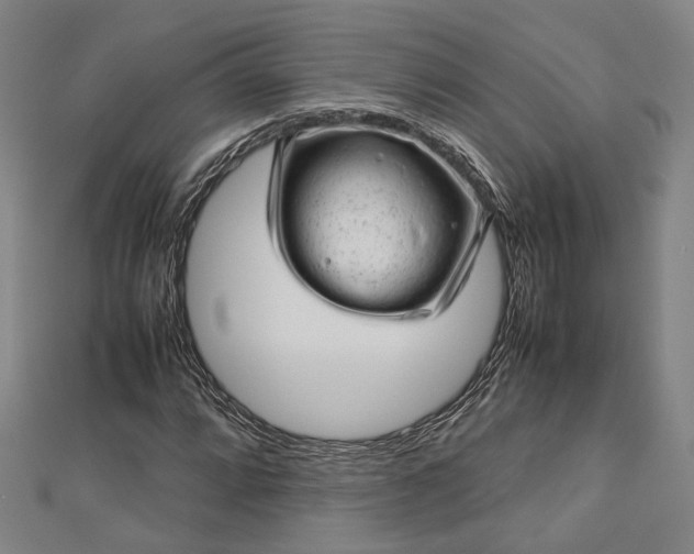 X0000112731064200909031439