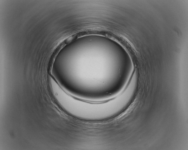 X0000112731065200909031439