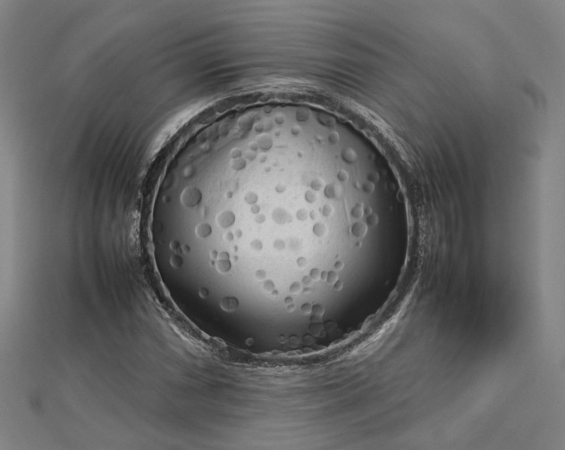 X0000112731066200909031439