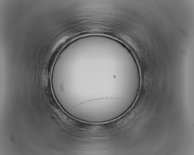 X0000112731067200909031439