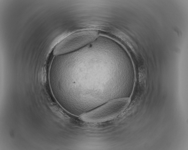 X0000112731069200909031439