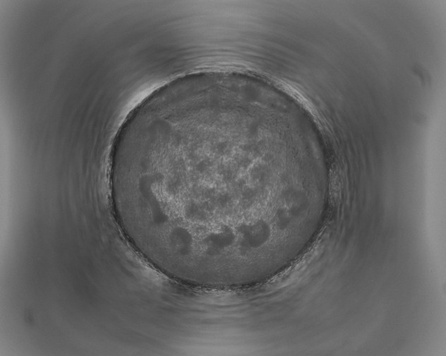 X0000112731071200909031439