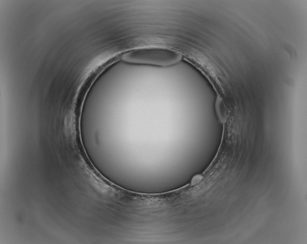 X0000112731072200909031439