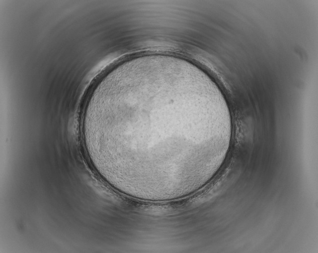 X0000112731074200909031439