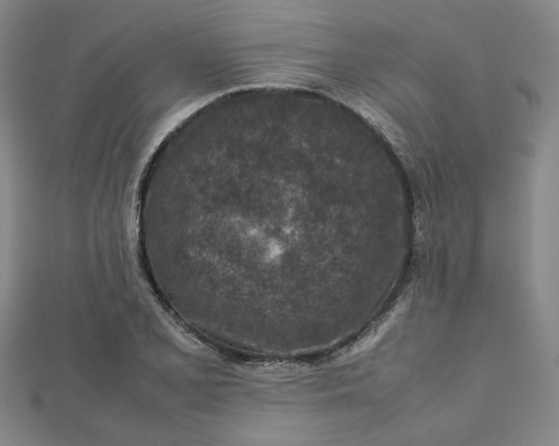 X0000112731077200909031439