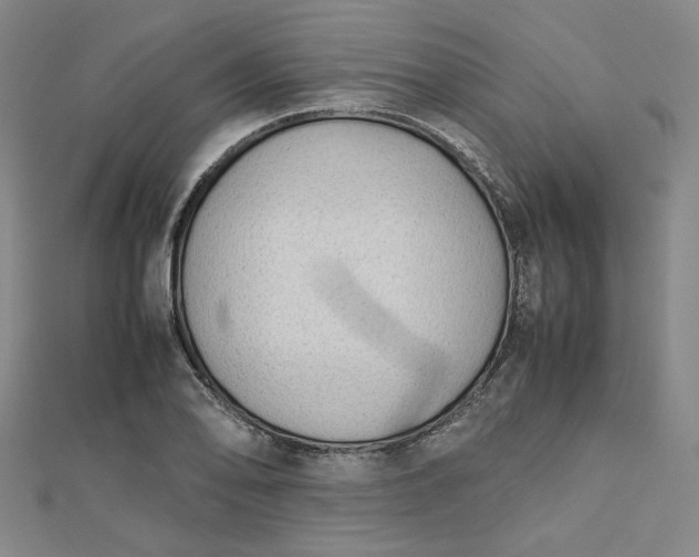 X0000112731078200909031439