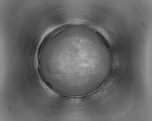 X0000112731080200909031439