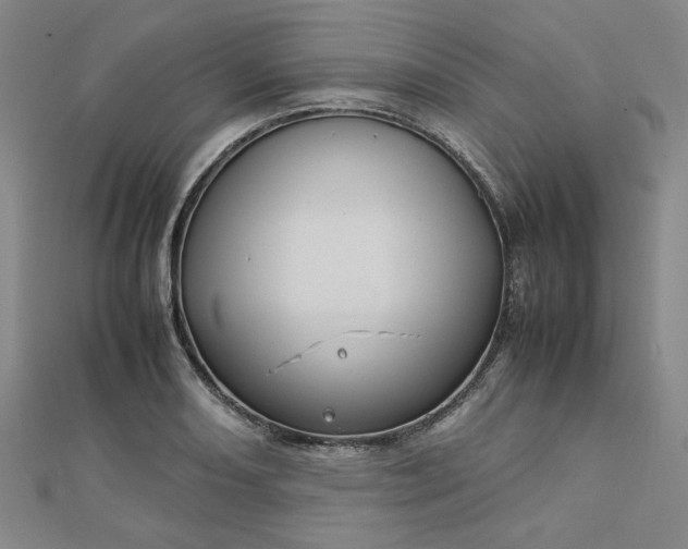 X0000112731082200909031439